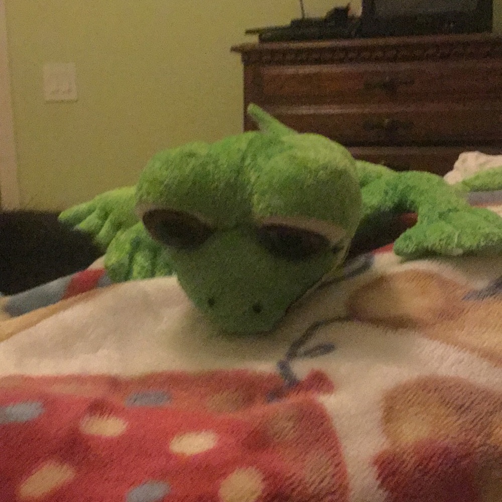 Green lizard (fory)
